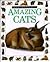 Amazing Cats