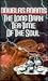 The Long Dark Tea-Time of the Soul (Dirk Gently, #2) by Douglas Adams