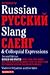 Dictionary of Russian Slang and Colloquial Expressions by Vladimir Shlyakhov
