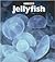 Jellyfish: Sea Life (Naturebooks)