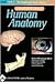 Acland' Dvd Atlas Of Human Anatomy: The Head And Neck, Part 2, Disc 5