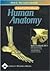 Acland's Dvd Atlas Of Human Anatomy: The Lower Extremity, Disc 2