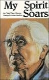 My Spirit Soars