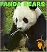 Panda Bears (Bears of the World) Panda Bears (Bears of the World)