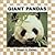 Giant Pandas (Bears)