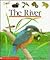 The River