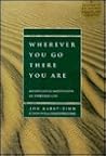 Wherever You Go, There You Are by Jon Kabat-Zinn