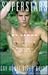 Superstars: Gay Adult Video Guide