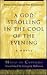 A God Strolling in the Cool of the Evening by Mário de Carvalho