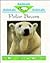 Polar Bears