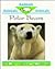 Polar Bears by Alison Tibbitts