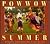 Powwow Summer: A Family Cel...