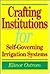 Crafting Institutions for S...