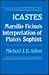 Icastes: Marsilio Ficino's Interpretation of Plato's Sophist, Five studies, with a critical edition and translation