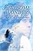 Awesome Wonder by M. Ann Ricks