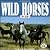 Wild Horses for Kids (Wildlife for Kids Series)