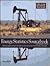 Energy Statistics Sourcebook by Tracy Simpson