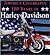 America Celebrates 100 Years of Harley-Davidson by Tod Rafferty