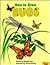 How to Draw Bugs