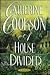 A House Divided: A Novel