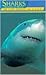 Sharks, Shorelines of America: The Story Behind the Scenery