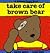 Take care of brown bear