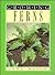 Growing Ferns