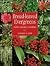 Broad-Leaved Evergreens: Tr...