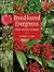 Broad-Leaved Evergreens by Stephen G. Haw