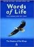 Words Of Life, January-april 2005 by Salvation Army