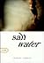 Salt Water by Charles Simmons