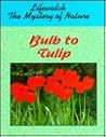 Bulb to Tulip (Lifewatch)