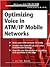 Optimizing Voice in ATM/IP ...