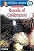 Sounds of Celebration!, Level 3: A Musical Adventure (Lithgow Palooza Readers)