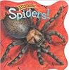 Spiders! (Know-It-Alls Ser)