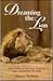Dreaming the Lion