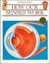 How Our Senses Work (The Invisible World)