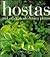 Hostas and Other Shade-Lovi...
