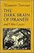 The Dark Brain of Piranesi and Other Essays