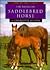 The American Saddlebred Horse (Learning About Horses)