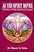 As the Spirit Moves: Stories of the Spiritual Quest