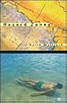 Hazard Zones: A Novel