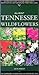 All about Tennessee Wildflowers