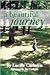 A Beautiful Journey