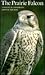 The Prairie Falcon (Corrie Herring Hooks Series)