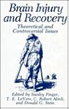 Brain Injury and Recovery: Theoretical and Controversial Issues