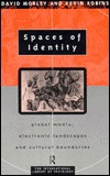Spaces of Identity: Global Media, Electronic Landscapes and Cultural Boundaries (International Library of Sociology)