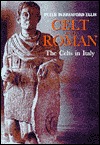 Celt and Roman: The Celts of Italy (Hardcover)