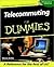 Telecommuting For Dummies?