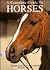 A complete guide to horses